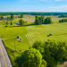 Couple can seek restitution for court-ordered transfer of ownership of their land
